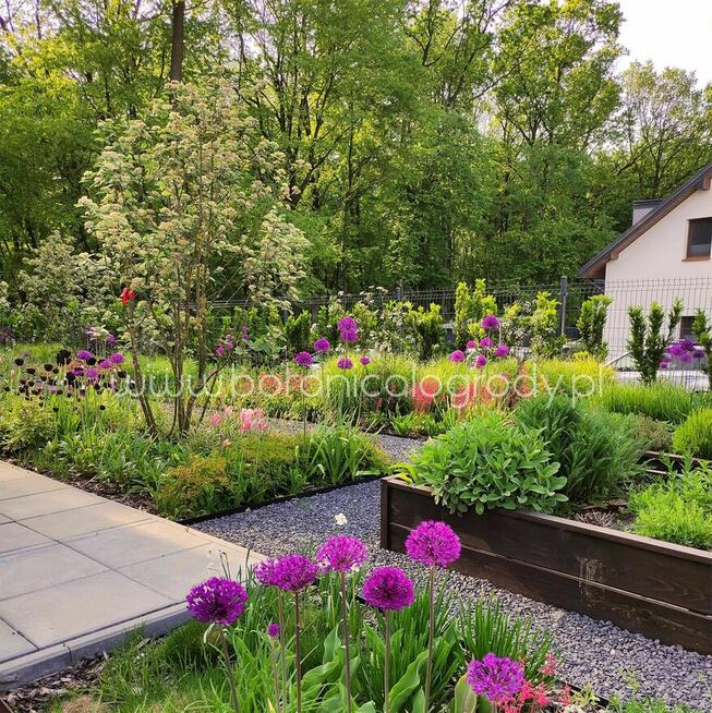 Projektowanie ogrodów, ogrody naturalistyczne, Warszawa/Lublin