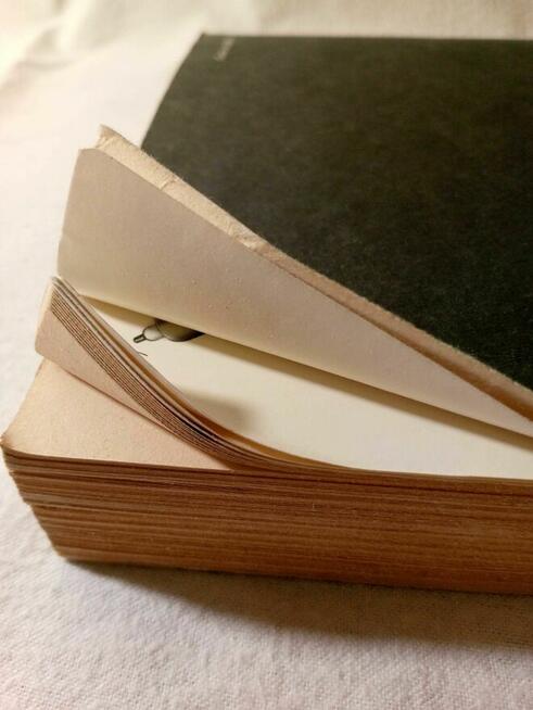 Książka Odbiorniki Telewizyjne - Bolesław Urbański