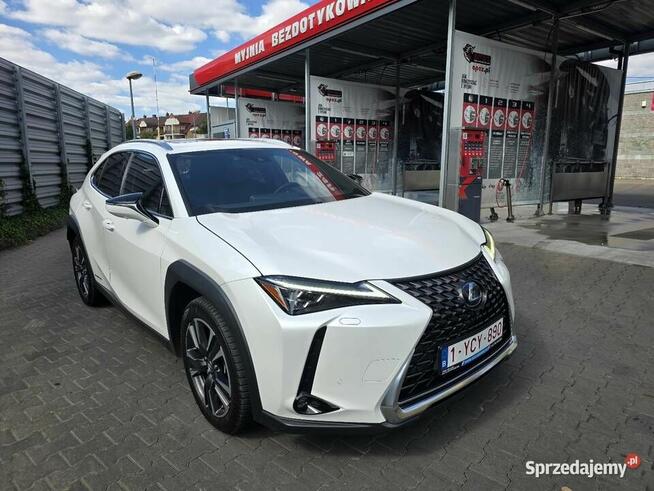 Lexus UX 250H Omotenashi /Mark Levinson
