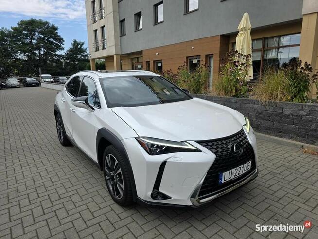 Lexus UX 250H Omotenashi /Mark Levinson