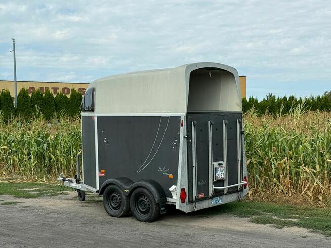 Humbaur Balios Przyczepa dla 2 koni używana zarejestrowana