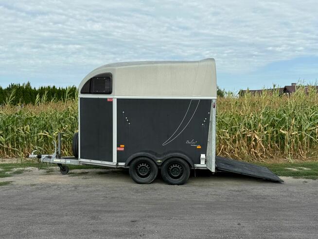 Humbaur Balios Przyczepa dla 2 koni używana zarejestrowana