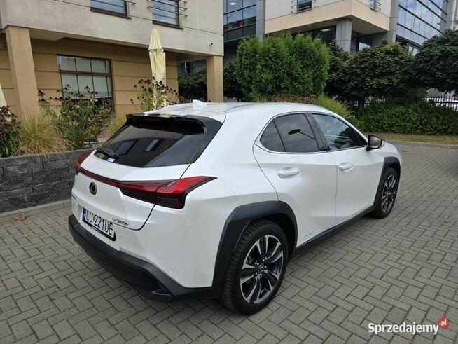 Lexus UX 250H Omotenashi /Mark Levinson