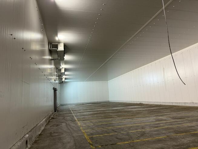 Syndyk wydzierżawi przedsiębiorstwo BIMIZ FOOD sp. z o.o.