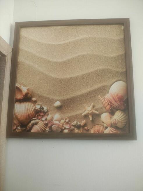 Obraz - muszelki na suchym piasku