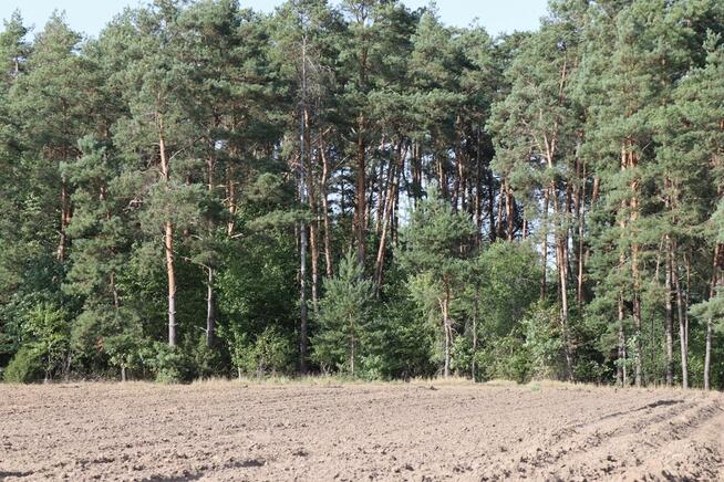 Sprzedam gospodarstwo rolne