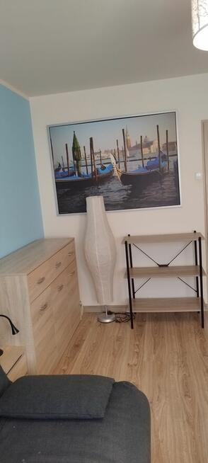 mieszkanie na wynajem