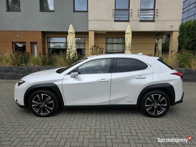 Lexus UX 250H Omotenashi /Mark Levinson