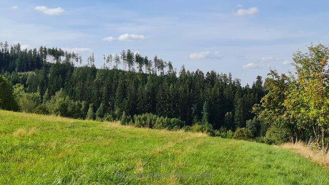 Na sprzedaż działki budowlane Świerki