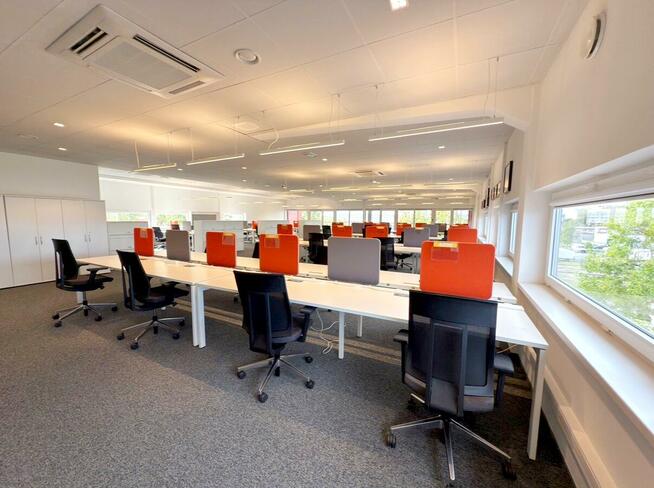 Lokal użytkowy Opole