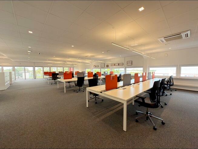 Lokal użytkowy Opole