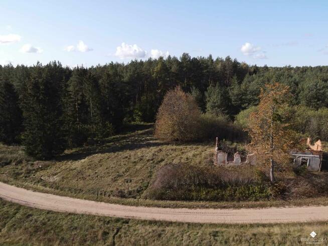 Działka rolna Targowska Wola gm. Dźwierzuty