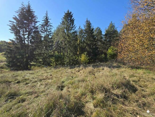 Działka rolna Targowska Wola gm. Dźwierzuty