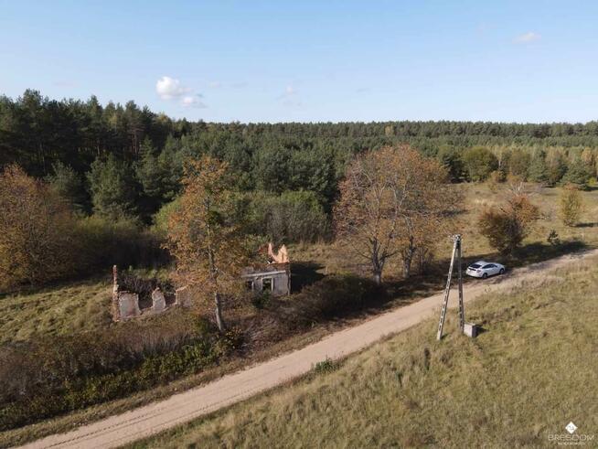 Działka rolna Targowska Wola gm. Dźwierzuty