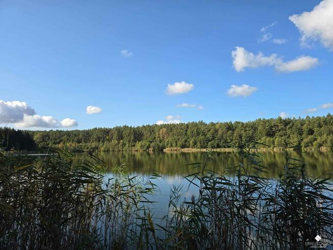 Działka rolna Targowska Wola gm. Dźwierzuty