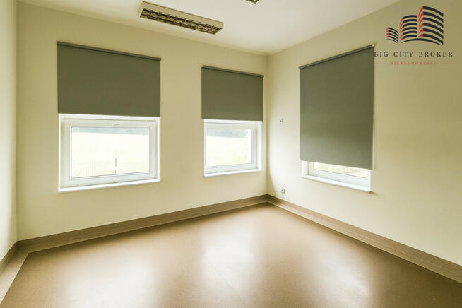 Lokal użytkowy Krasienin-Kolonia gm. Niemce,