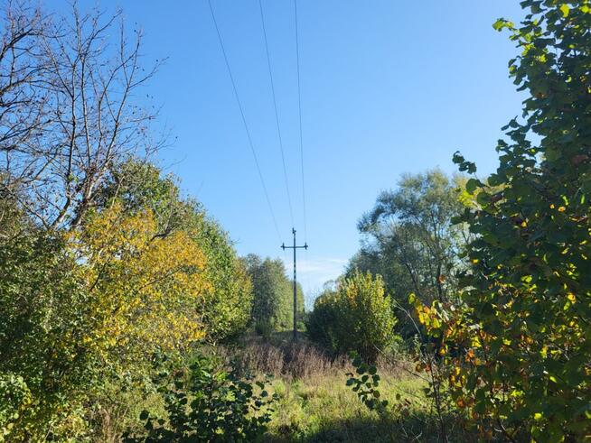 Działki pod zabudowę szeregową lub usługową