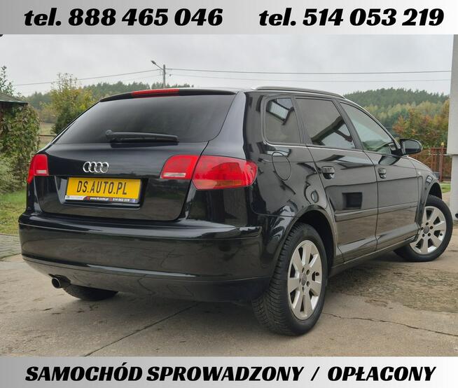 Audi A3 8P • 1.6 benz MPI • 5 drzwi • 2006 • jasne wnętrze • z Niemiec