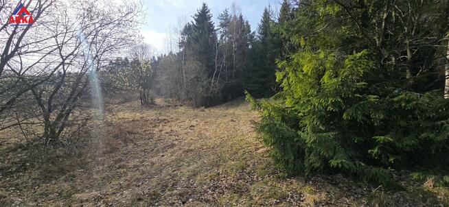 Działka rolna Kasina Wielka gm. Mszana Dolna