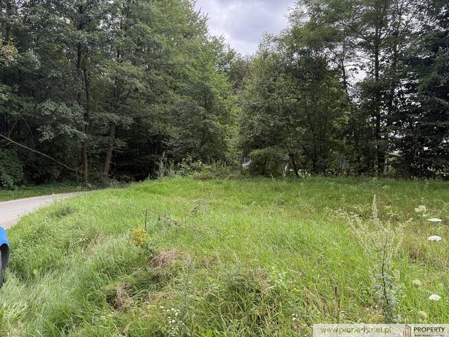 Działka 30 ar, Gołęczyna, gm. Pilzno