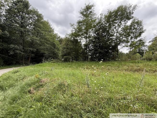 Działka 30 ar, Gołęczyna, gm. Pilzno