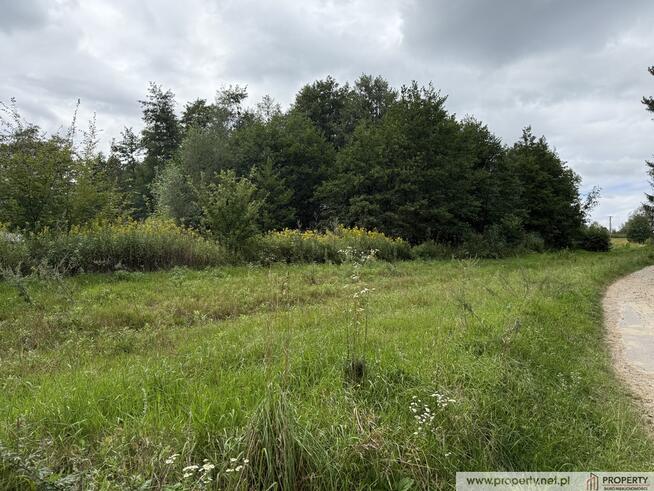 Działka 30 ar, Gołęczyna, gm. Pilzno