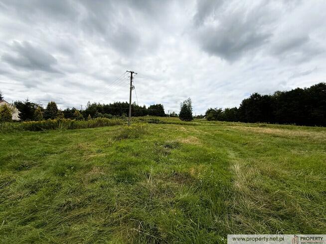 Działka 30 ar, Gołęczyna, gm. Pilzno