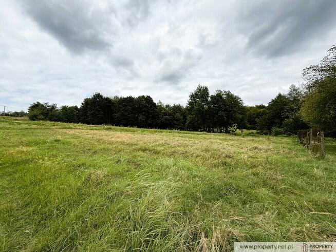Działka 30 ar, Gołęczyna, gm. Pilzno