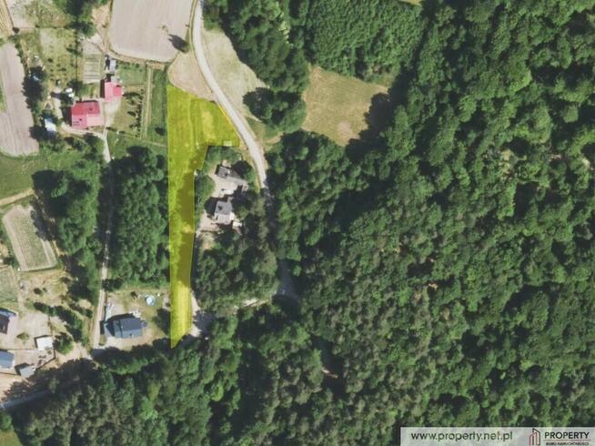 Działka 30 ar, Gołęczyna, gm. Pilzno
