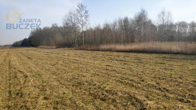 Działka budowlana Adamowa Góra gm. Młodzieszyn,