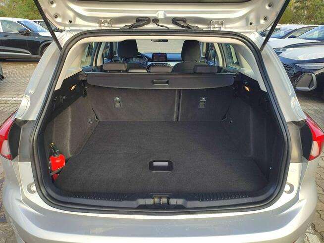 Ford Focus Salon Polska fv23
