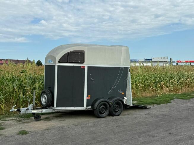 Humbaur Balios Przyczepa dla 2 koni używana zarejestrowana