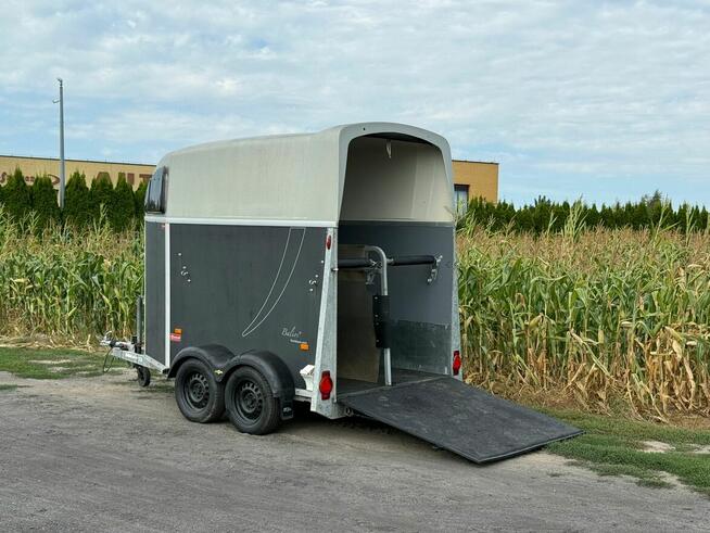 Humbaur Balios Przyczepa dla 2 koni używana zarejestrowana