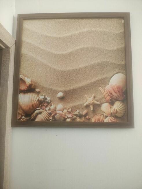Obraz - muszelki na suchym piasku