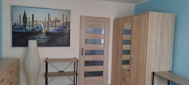 mieszkanie na wynajem