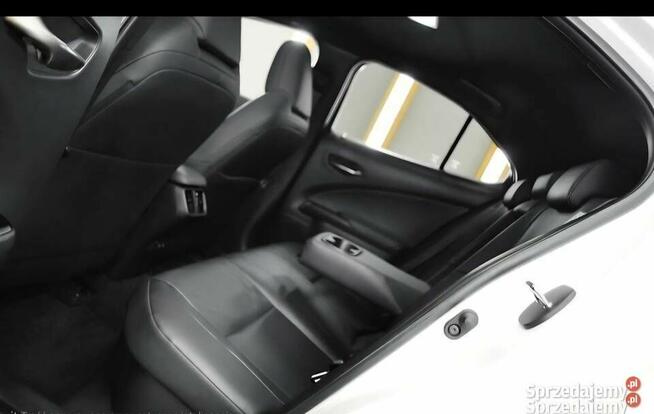 Lexus UX 250H Omotenashi /Mark Levinson