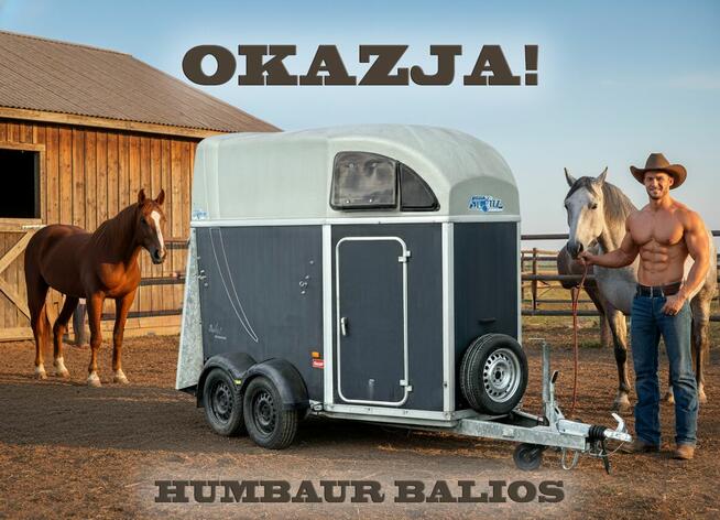 Humbaur Balios Przyczepa dla 2 koni używana zarejestrowana