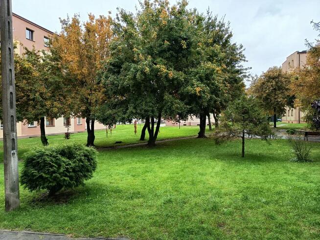 Mieszkanie 36.27m2, Jesionowa, CO