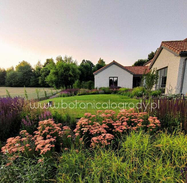 Projektowanie ogrodów, ogrody naturalistyczne, Warszawa/Lublin