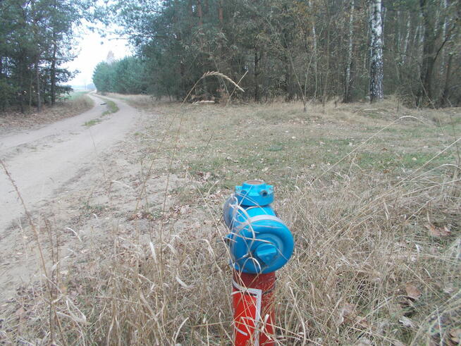 sprzedam działkę 78 ary