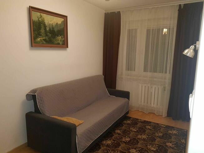 mieszkanie do wynajęcia