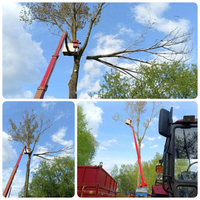 WARSZAWA KOMPLEKSOWA WYCINKA DRZEW I ALPINISTYKA