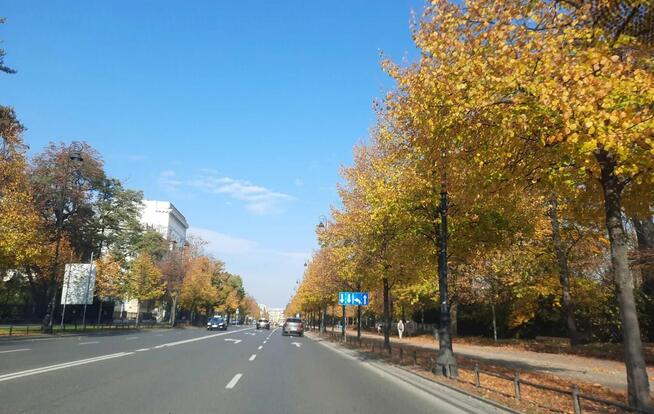 Studio Al. Ujazdowskie Trakt Królewski, kamienica, kawalerka