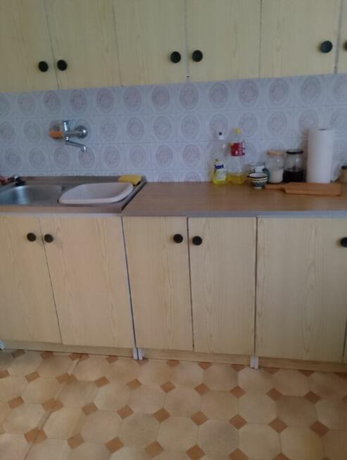 dom do wynajęcia