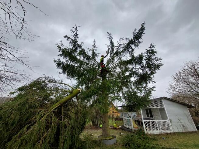 WARSZAWA KOMPLEKSOWA WYCINKA DRZEW I ALPINISTYKA