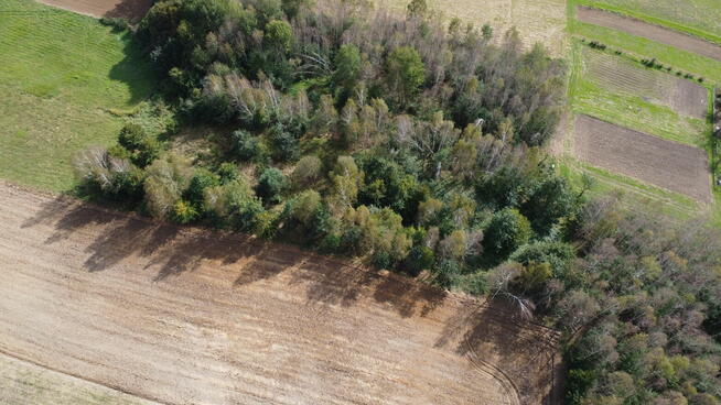 Działka Budowlana W Spokojnej Okolicy