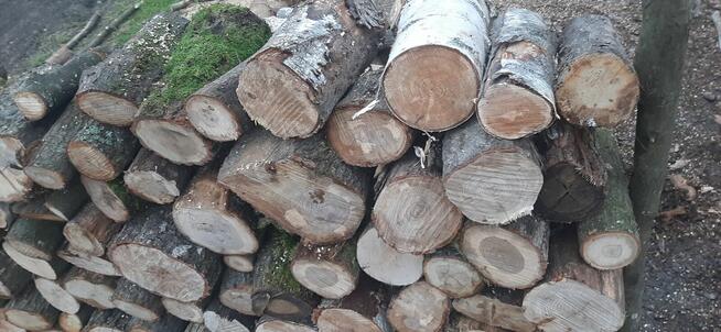 Sprzedam drewno opałowe twarde mieszane (Brzoza, Dąb, Buk,