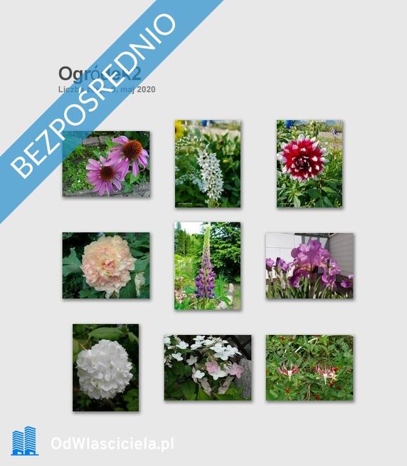 Dom wśród zieleni przy lesie