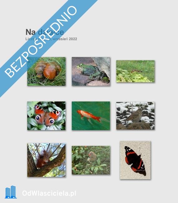 Dom wśród zieleni przy lesie