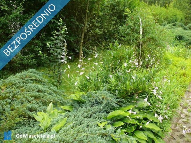 Dom wśród zieleni przy lesie